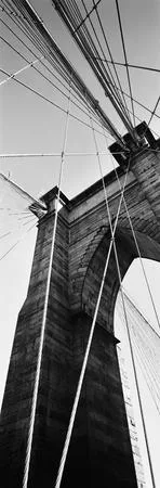 The verticals of New York. Кадр 4