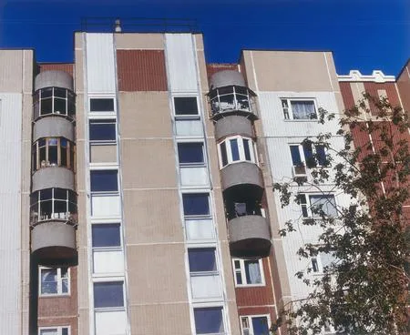 The Moscow starling houses. Кадр 2