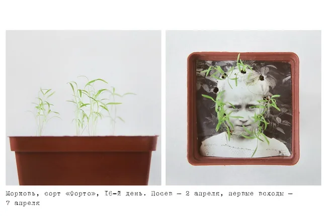 Datscha/Garden. Кадр 1