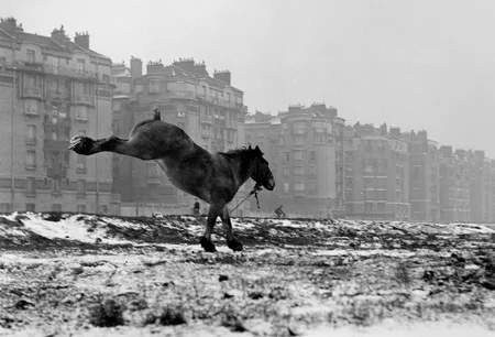 Half century of photography. Кадр 8