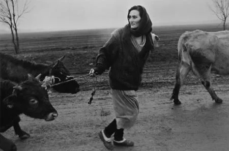 Современная российская фотография. 1991-2003. Кадр 6