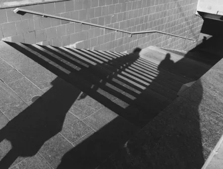 Following a shadow. Кадр 6