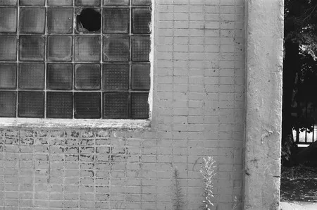 Playgrounds. Кадр 6