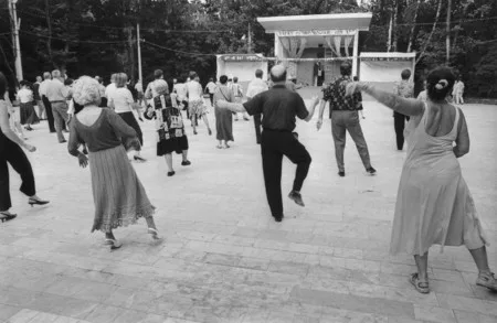 Потанцуем в Сокольниках. Кадр 1