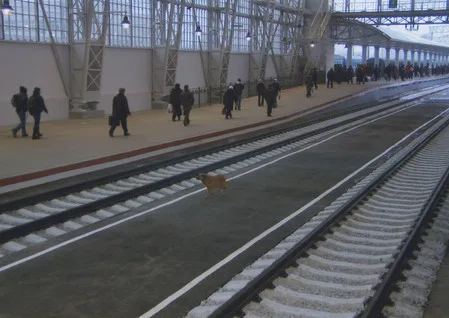 A day from the life of the Kievsky railway station. Кадр 5