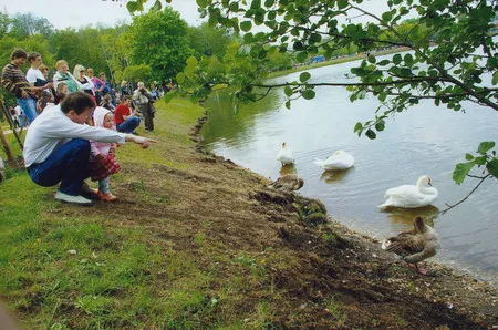 People at Tzaritzyno. Кадр 6
