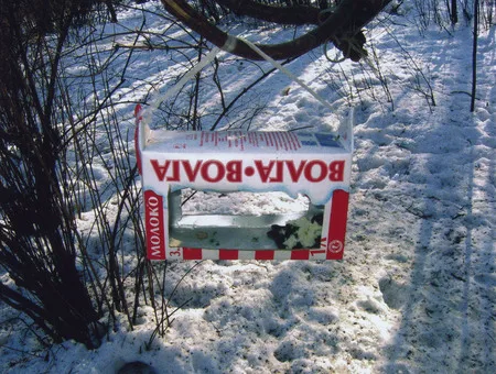 The bird’s public catering. Кадр 3