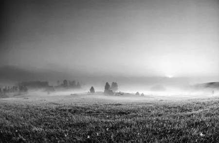 Российская природа. Кадр 5