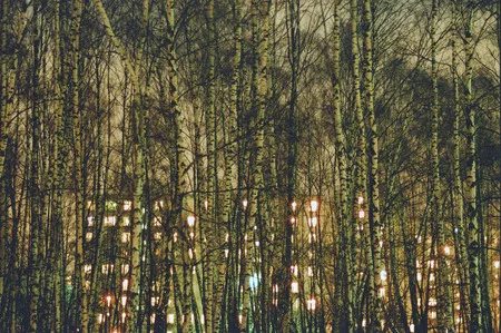 The shining of the night. Кадр 6