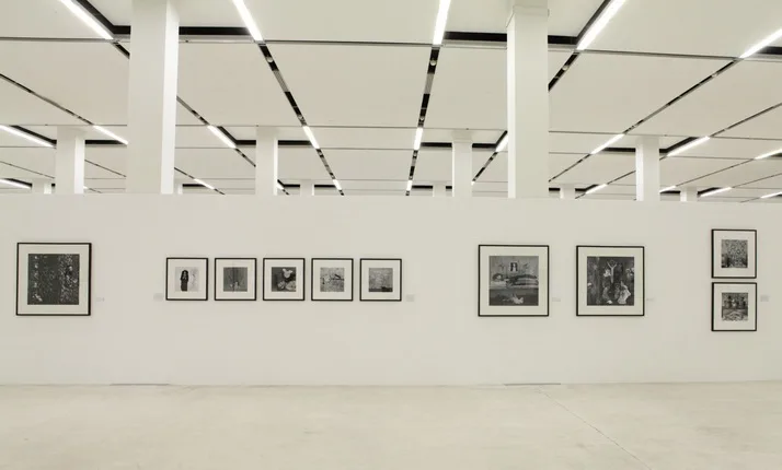 Страна теней. Фотографии Роджера Баллена. 1982—2013 годов. Кадр 11