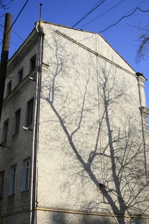 Parallel curves. Кадр 6