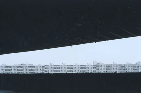 Moscow. The format of the gold section (Totalrealism). Кадр 7