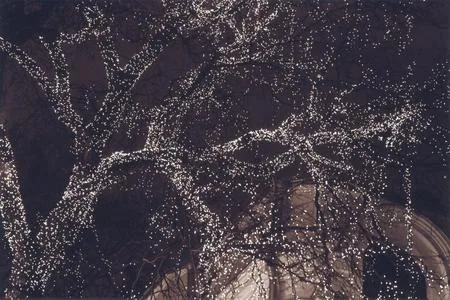 Lights. Кадр 2