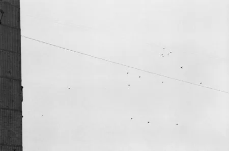 Crossing. Кадр 12