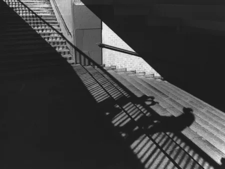 Following a shadow. Кадр 7