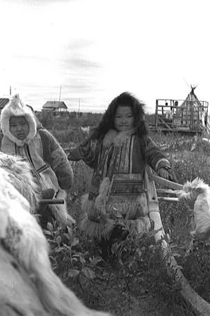 Nganasans. History of NYA people/ Temptation by color. Кадр 4