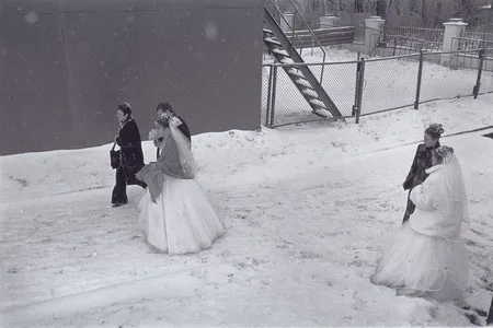 Weddings on Vorobievi Gori. Кадр 5