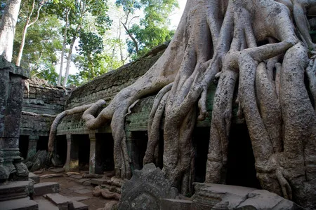 Asia. Exotic journey. Кадр 2