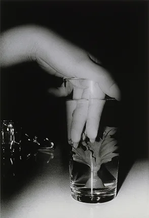 Память и свет. Японская фотография, 1950-2000. Кадр 5