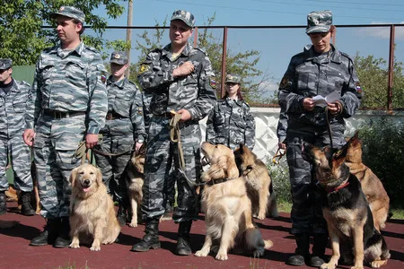 In the dog training centre. Кадр 11