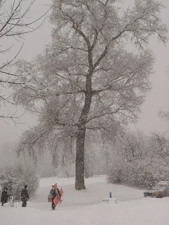 Way in a zero-zero weather. Кадр 8