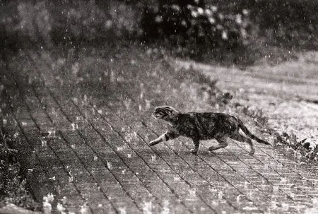 Without umbrella. Кадр 6