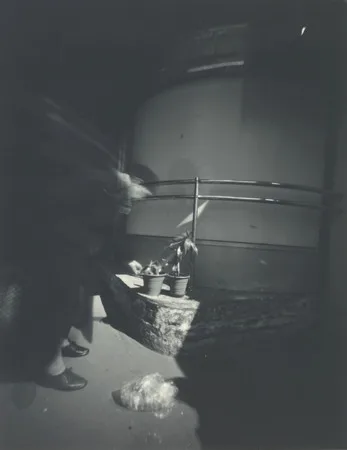 Non-objective reality. From the experience while shooting with obscure camera. Кадр 14