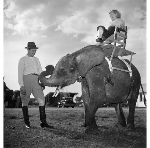 История в фотографиях 1945—1950. Кадр 8