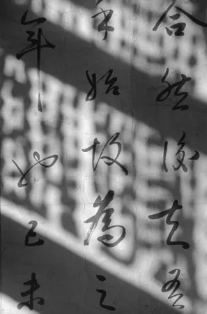 Calligraphy. Кадр 4