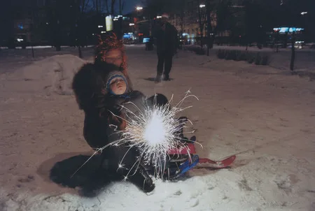 Новогодний феерверк: вечная ценность в частной собственности. Кадр 1