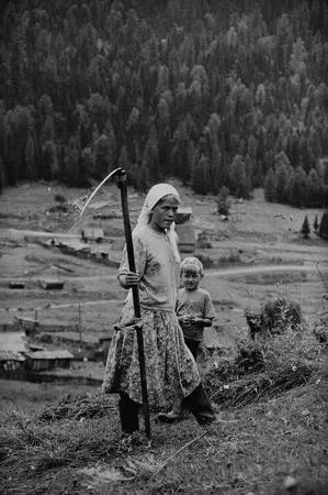 Алтай. Кадр 8