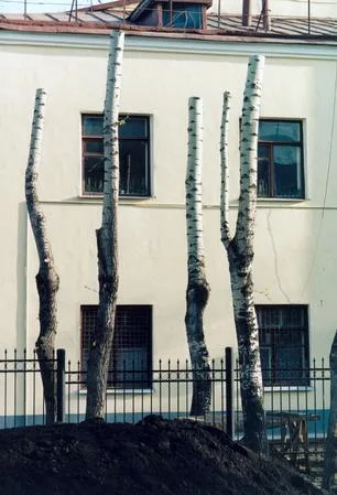City trees. Кадр 2