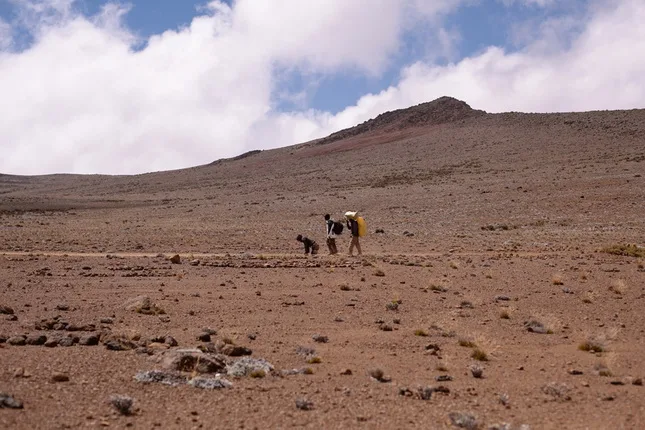 Life in motion — Kilimanjaro. Кадр 4
