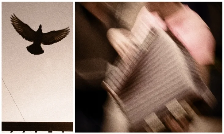 Transition. Кадр 26