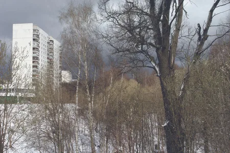 Built in nature I. Кадр 4
