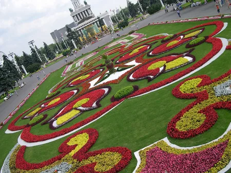 Flowers of Russia’s Main Exhibition. Кадр 6