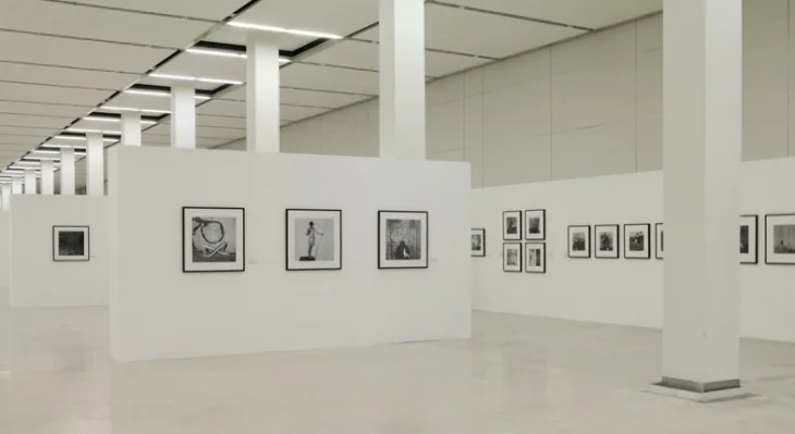 Страна теней. Фотографии Роджера Баллена. 1982—2013 годов. Кадр 9