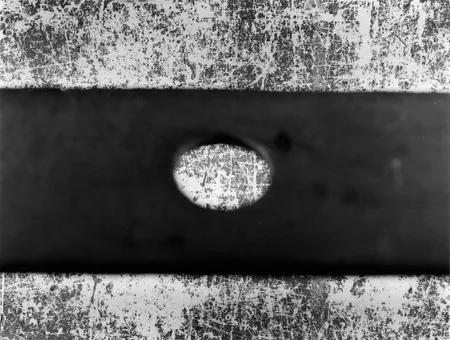 Still life: Calm life and Still life. Кадр 14