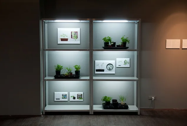 Datscha/Garden. Кадр 6