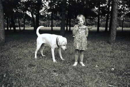 Photos for memory. Кадр 4