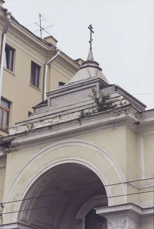 И на камнях растут деревья. Кадр 7