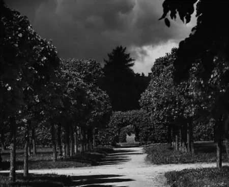 Cherry garden. Кадр 11