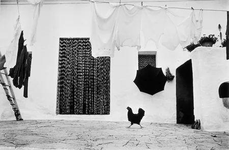 Photographies. 1947 — 1989. Кадр 3