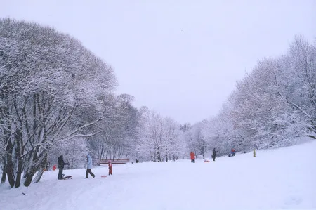 Коломенские радости. Кадр 4