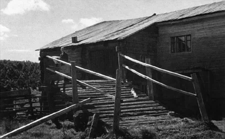Soviet photography. 1920-30s, From Pictorialism and Constructivism to Social realism. Кадр 11