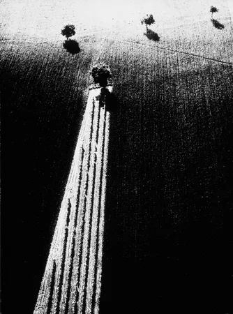 Photographies. 1953 — 1990. Кадр 3
