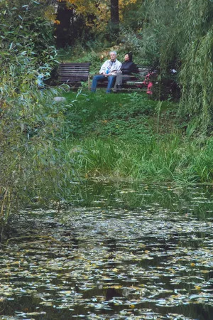 Autumn in the botanic garden of MSU. Кадр 4