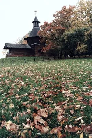 The Moscow manor. Кадр 3