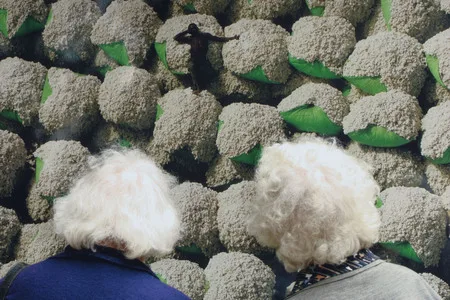 На выставке «Ян Артюс-Бертан «Мир с высоты». Кадр 7
