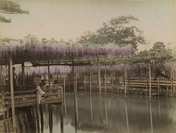 Старинная японская фотография. Кадр 10
